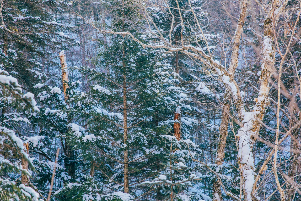 Тематическое фото ИА PrimaMedia