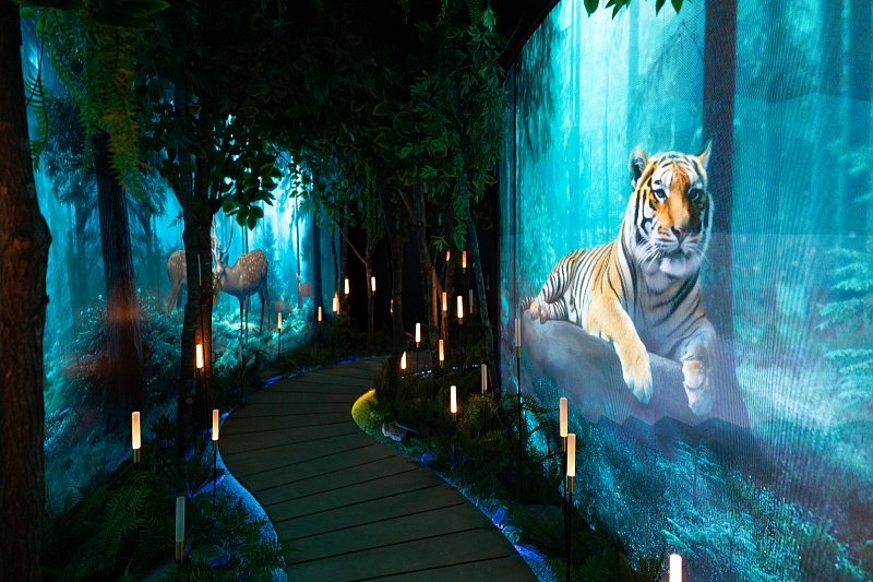 Экспозиция филиала Национального центра &quotРоссия&quot Пресс-служба администрации Владивостока