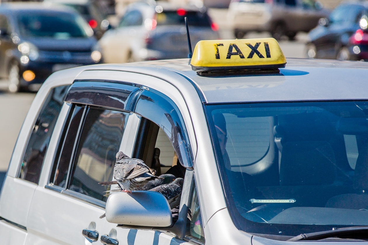 Таксисты Владивостока всё чаще становятся виновниками ДТП Мария Смитюк, ИА PrimaMedia