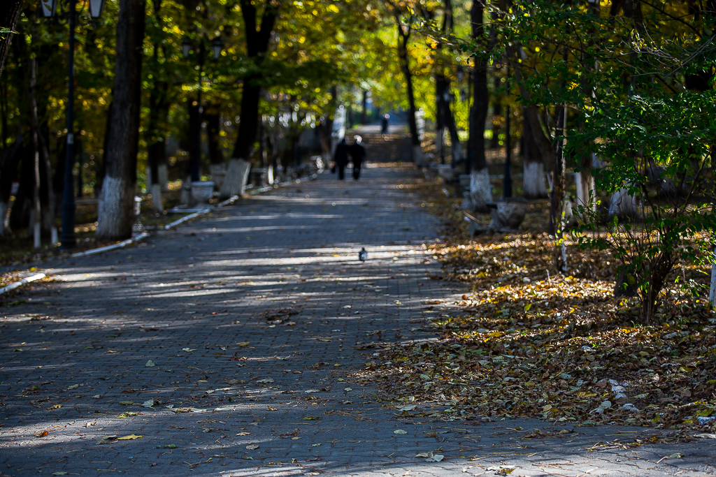 Парки владивостока фото