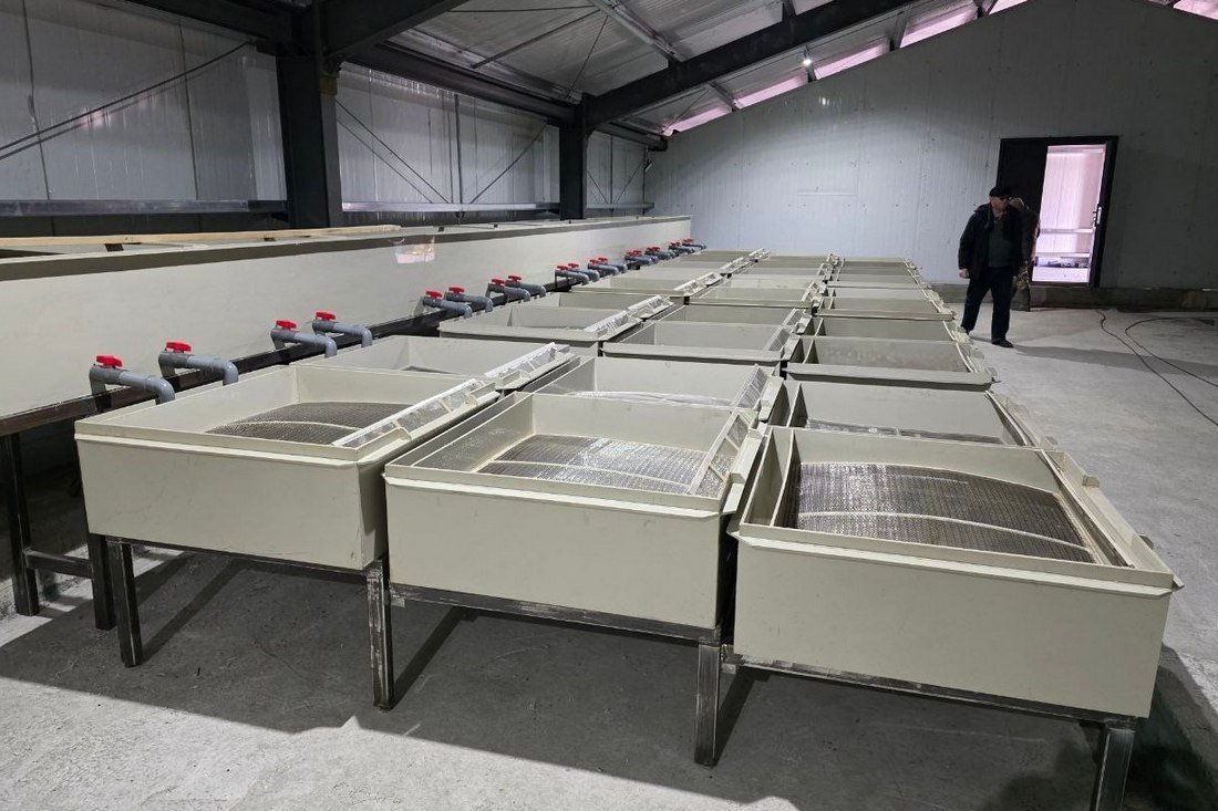 Завод для восстановления популяции лосося Пресс-служба МинПрироды Приморья