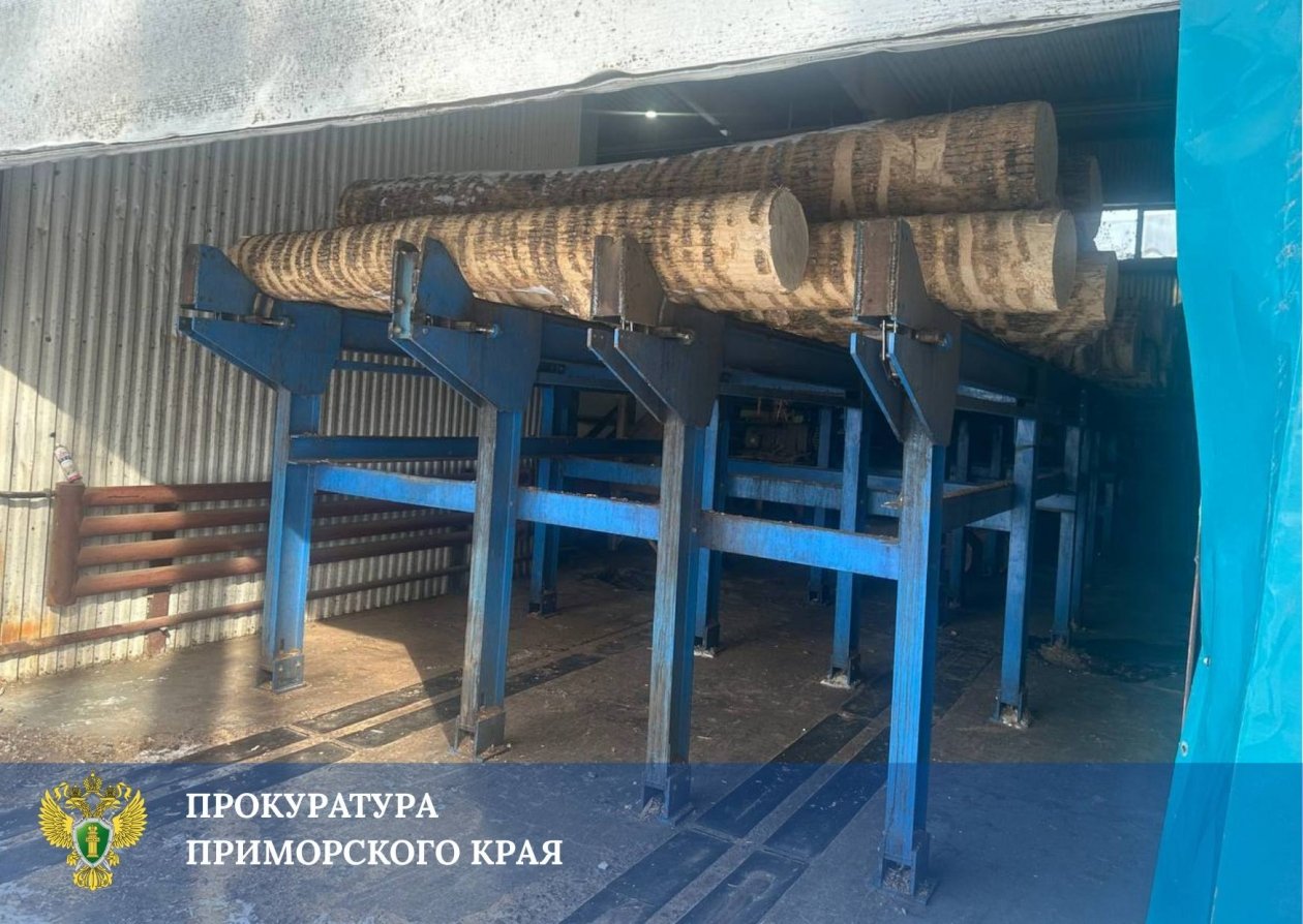 Пресс-служба прокуратуры Приморья