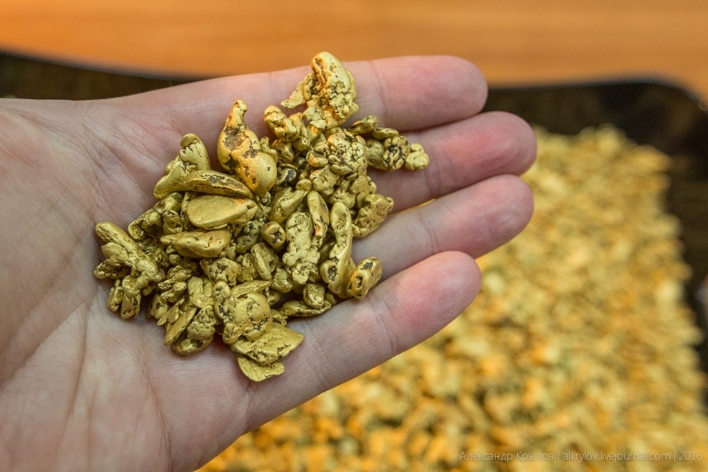 Прилетел за прибылью, а улетит нескоро: торговца золотом задержали в Хабаровске - AmurMedia: Лента новостей, 20.02.2026