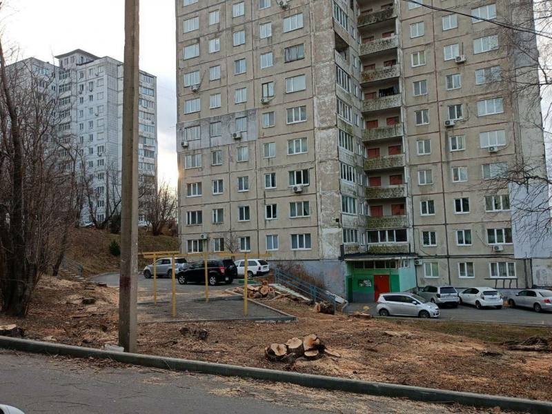 Полиция Владивостока пресекла незаконную вырубку деревьев УМВД России по Приморскому краю