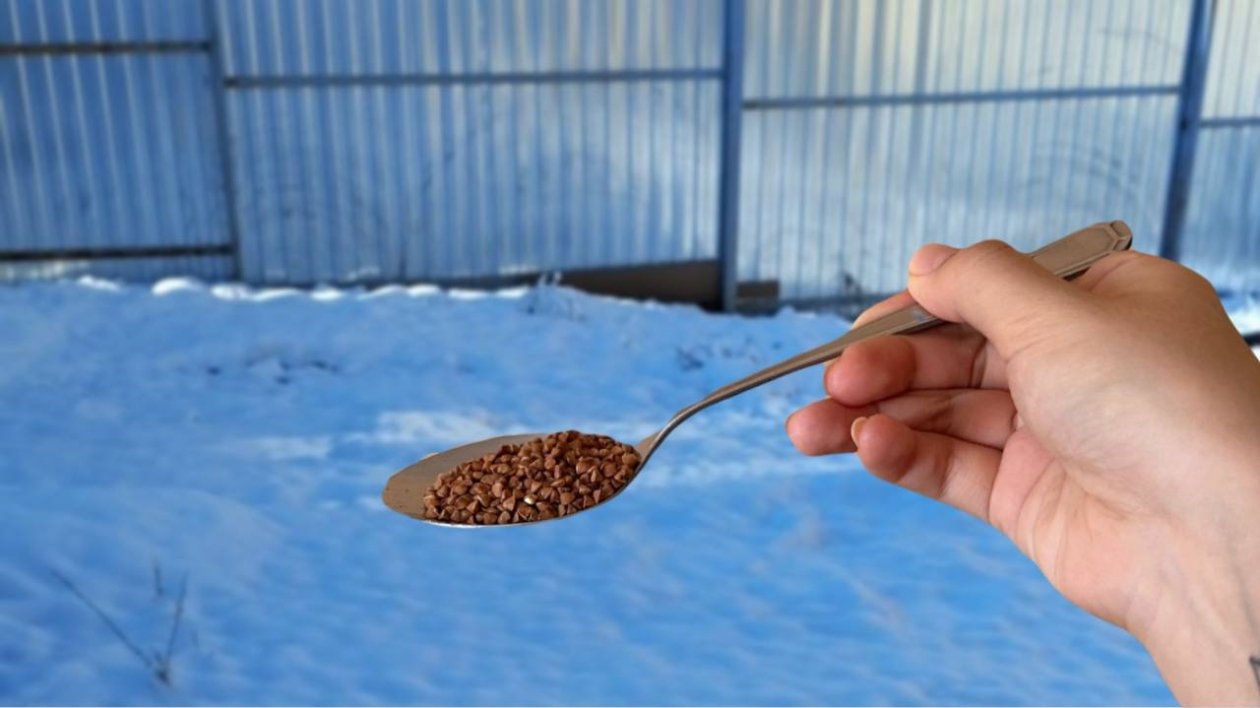 Ложка крупы вместо 100 кг навоза: кидаю на мерзлые грядки - и почва словно пушок - KrasnodarMedia, 02.03.2026