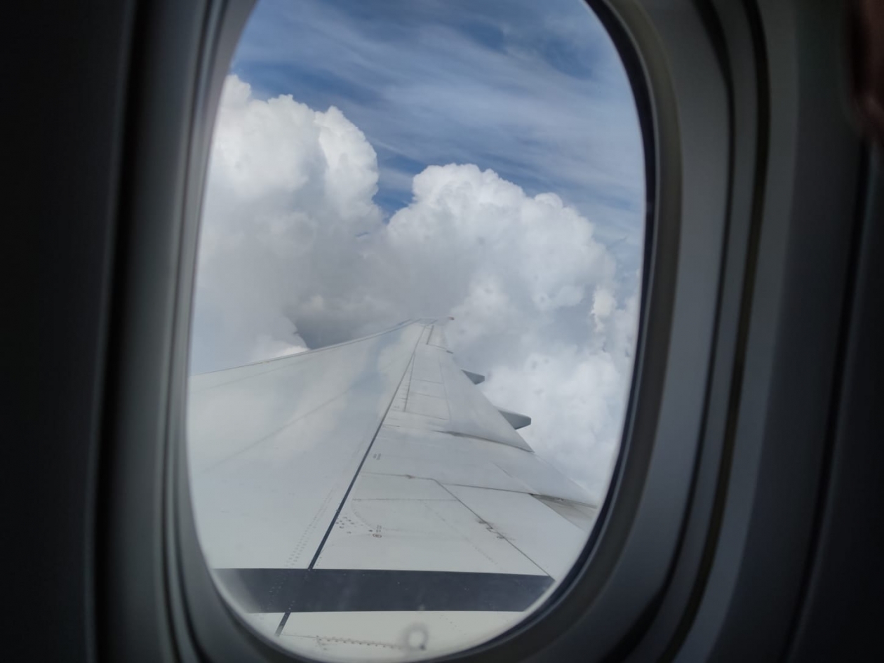 Перелет за 15 тысяч долларов в никуда: в ОАЭ активизировались авиамошенники - AmurMedia: Лента новостей, 02.03.2026