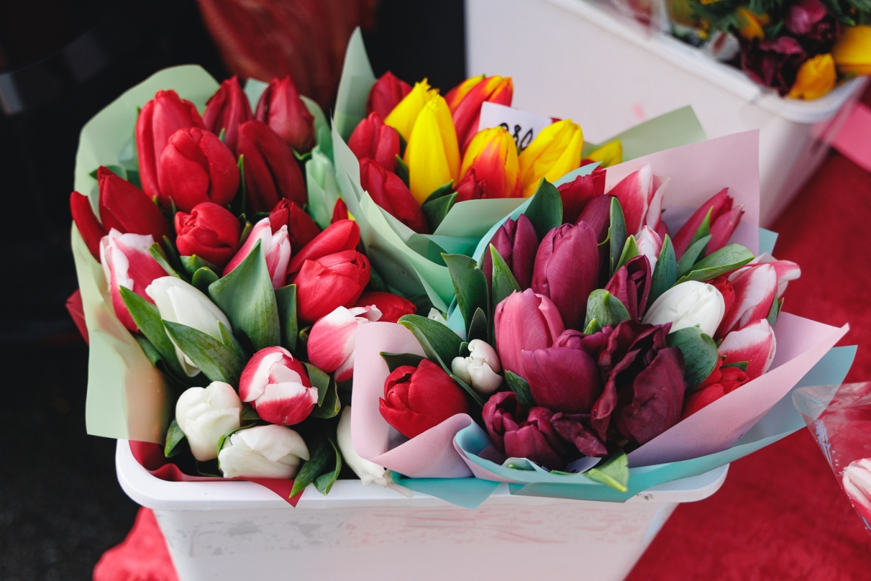 Букет шикарных тюльпанов простоит до апреля: секрет от флористов к преддверии 8 марта - AmurMedia: Лента новостей, 05.03.2026