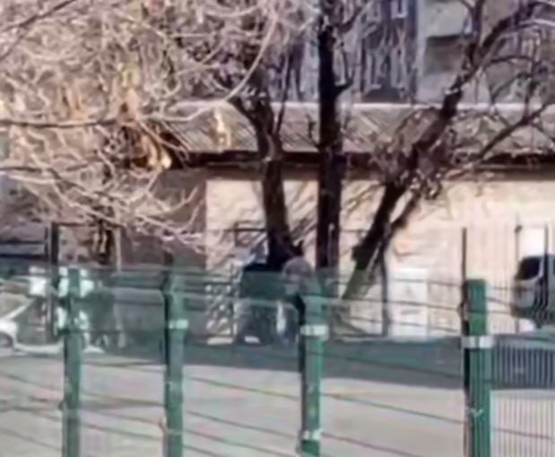 Уголовное дело возбудили после стрельбы на Владивостокском шоссе Уссурийска - UssurMedia: Лента новостей, 03.03.2026