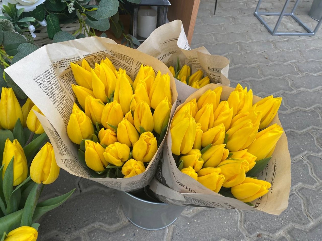 Накануне 8 Марта: в Приморье сожгли почти 75 тысяч заражённых цветов из Китая - PrimaMedia: Лента новостей, 04.03.2026