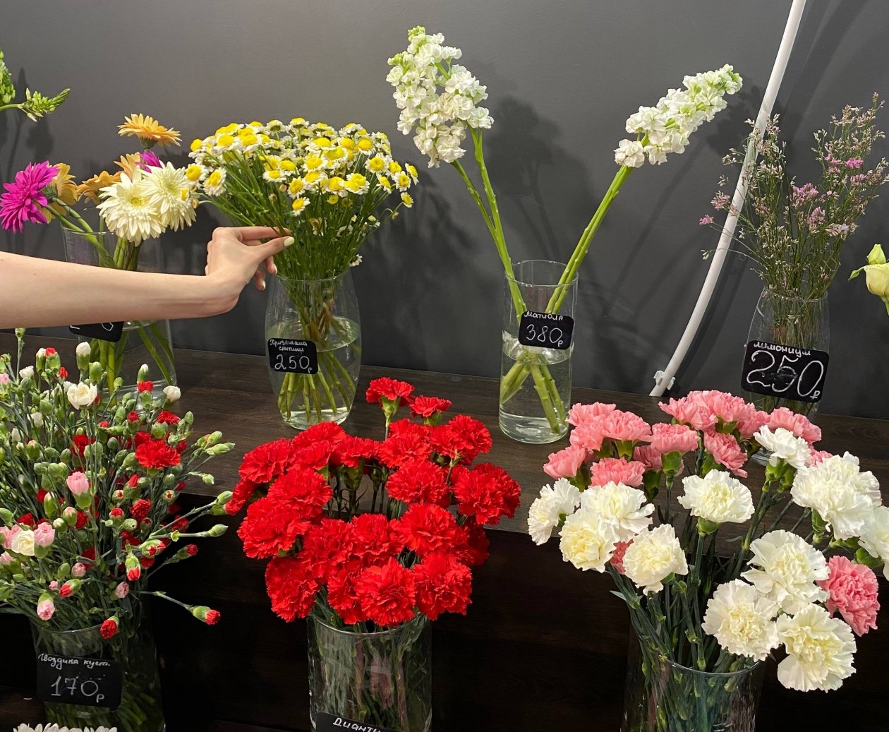 Ракам — гортензии, Львицам — подсолнухи: выбираем идеальный букет на 8 марта по знаку зодиака - PrimaMedia: Лента новостей, 05.03.2026