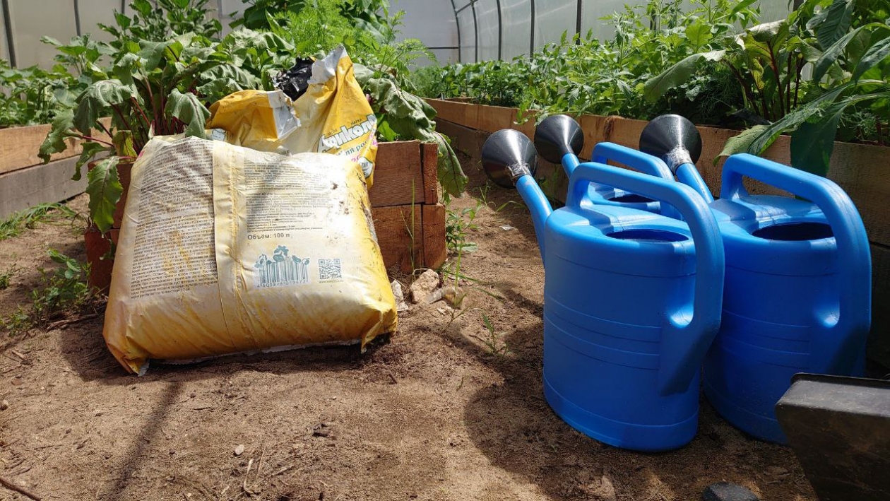 Покупать грунт или сделать самостоятельно: оказалось, что ошибаются 99% дачников - агроном дал важный совет - KrasnodarMedia, 06.03.2026