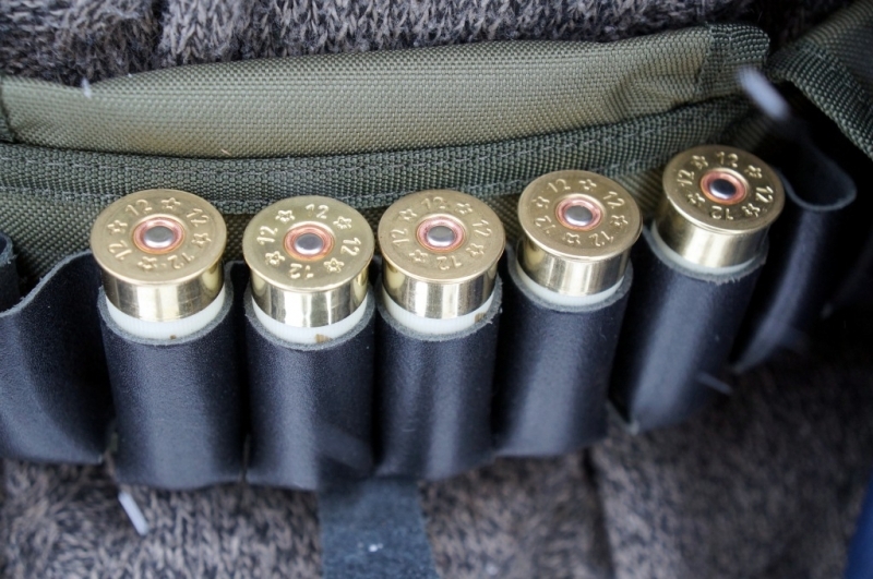 Тематическое фото Максим Мажарин, ИА PrimaMedia