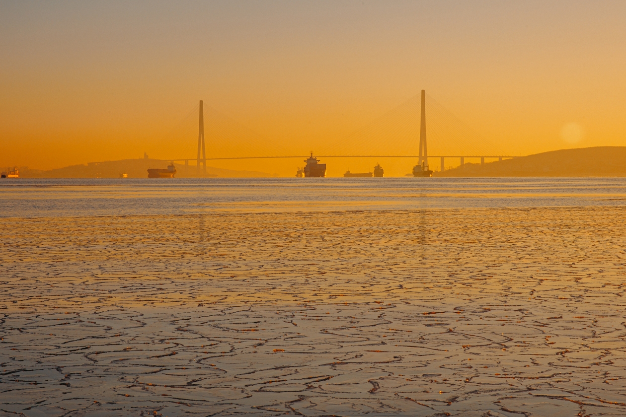 Тематическое фото ИА PrimaMedia