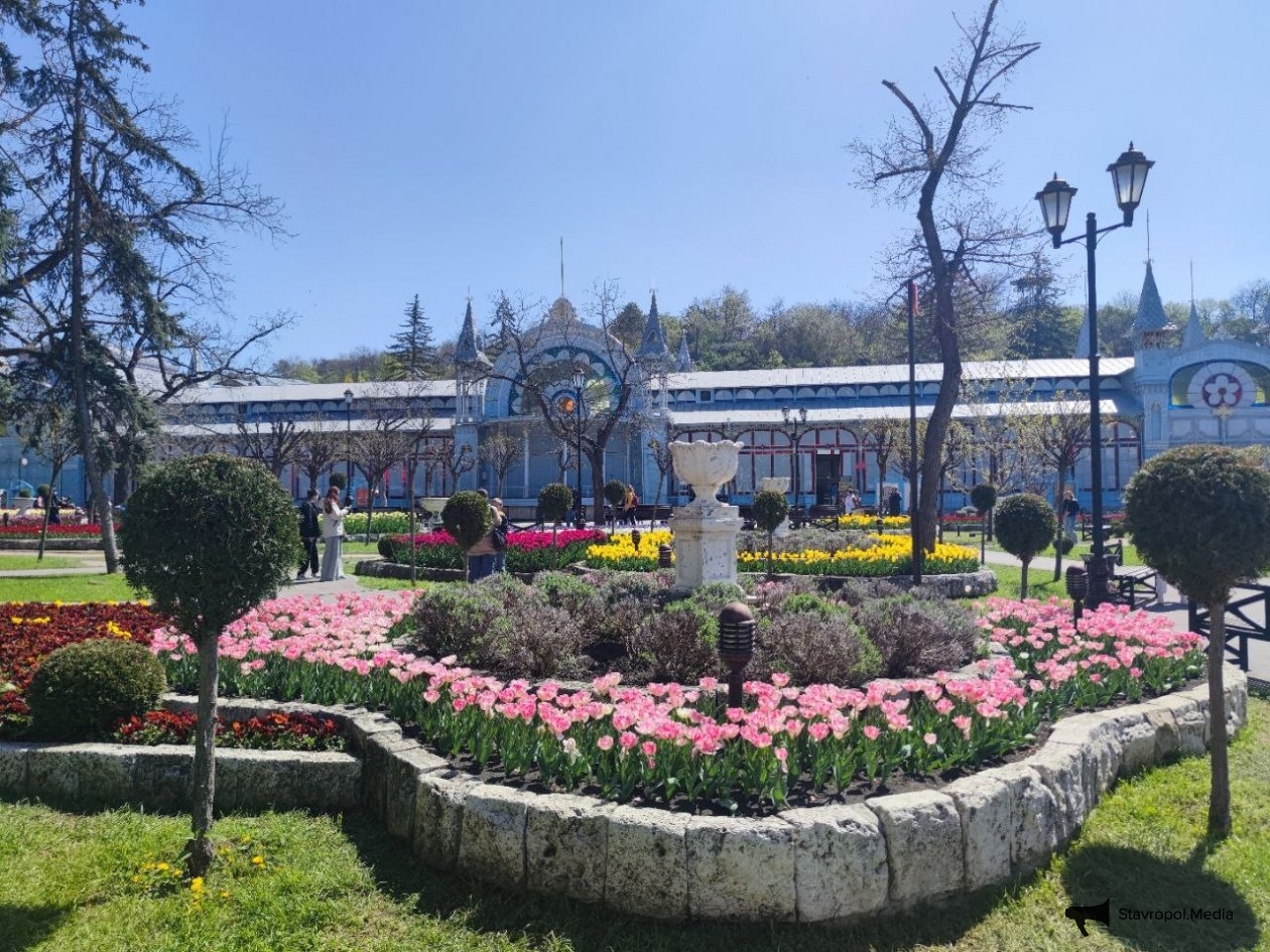 Не многолетник, а мечта: аромат как в Версальских садах – идеальный почвопокровник - KrasnodarMedia, 17.03.2026