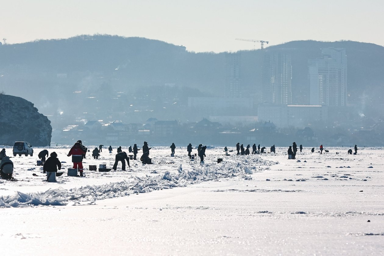 Тематическое фото ИА PrimaMedia.ru