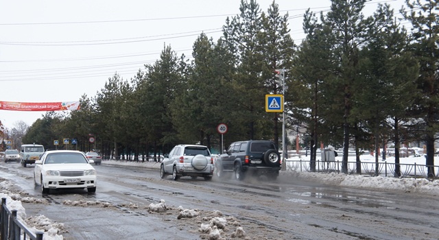 Слякоть на дорогах Баграновская Наталья, ИА EAOmedia