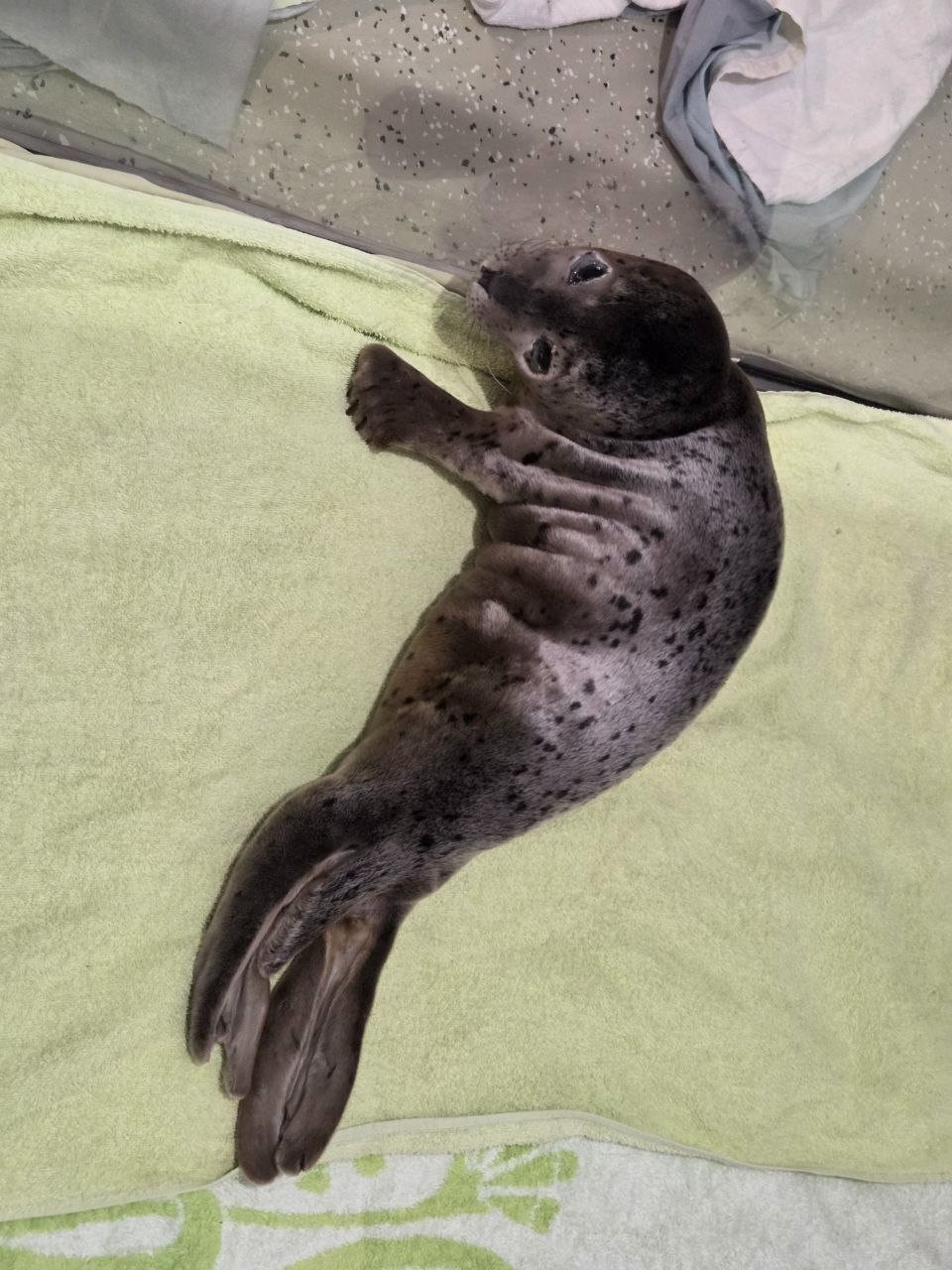 Телеграм-канал 