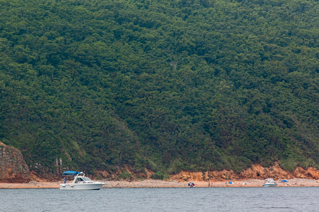 Тематическое фото Илья Аверьянов, ИА PrimaMedia