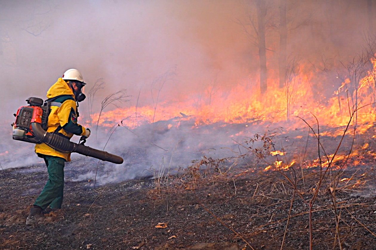 Семь возгораний локализовали огнеборцы в Приморье за одни сутки пресс-служба Министерства лесного хозяйства, охраны окружающей среды, животного мира и природных ресурсов Приморья
