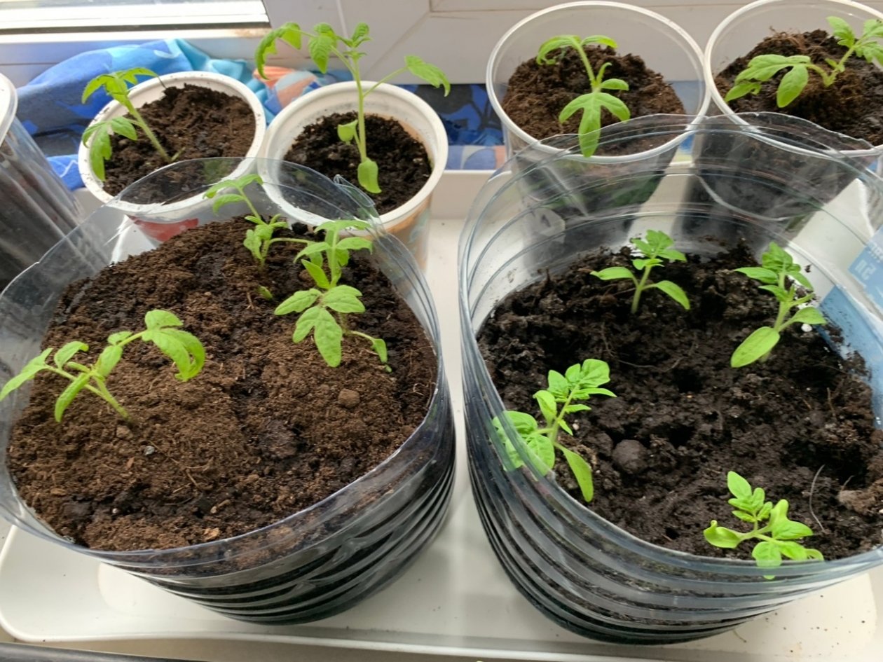 Тематическое фото Фото автора