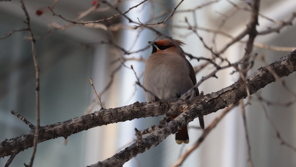 Тематическое фото ИА PrimaMedia