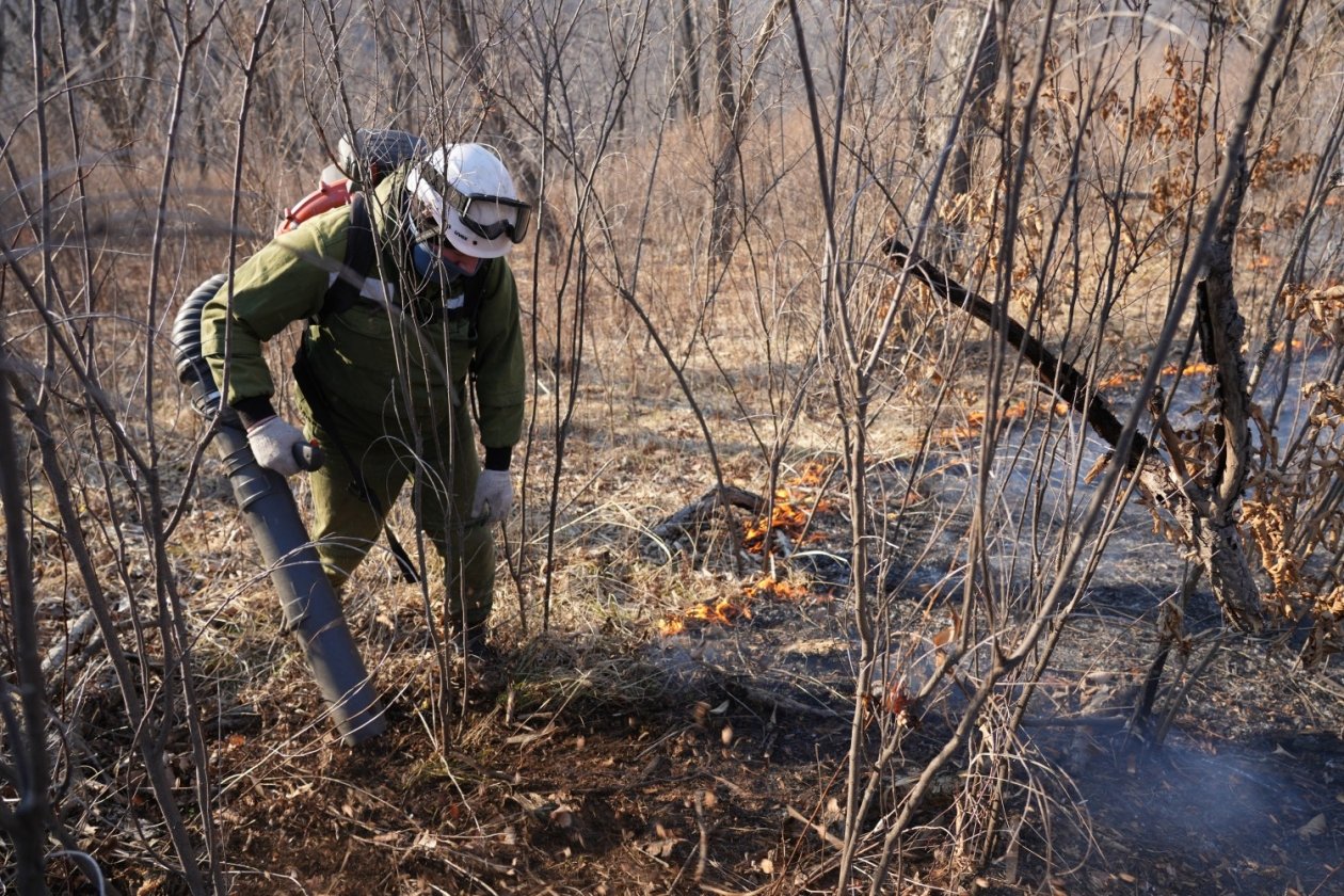 В Приморье за сутки ликвидированы 19 из 20 пожаров пресс-служба Министерства лесного хозяйства, охраны окружающей среды, животного мира и природных ресурсов Приморья