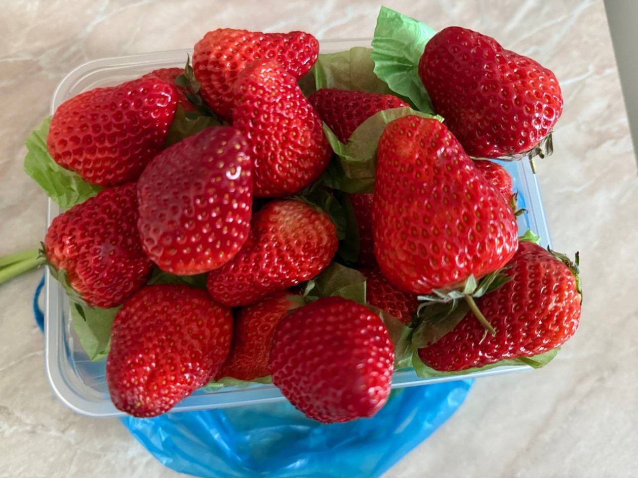 Тематическое фото Марина Голикова, ИА UssurMedia