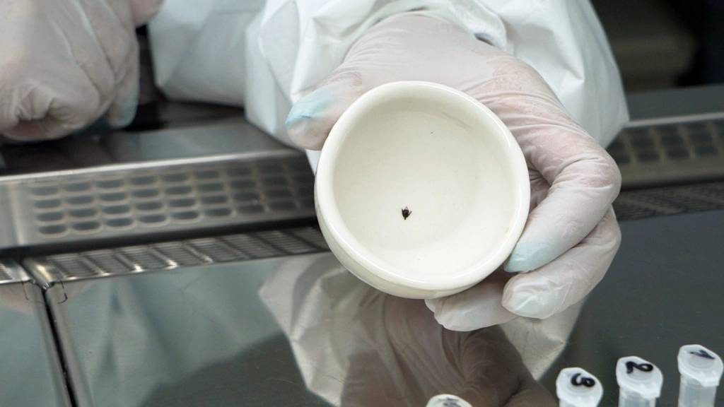 Более 270 человек пострадали от укусов клещей с начала сезона в Приморье Пресс-служба правительства Приморского края