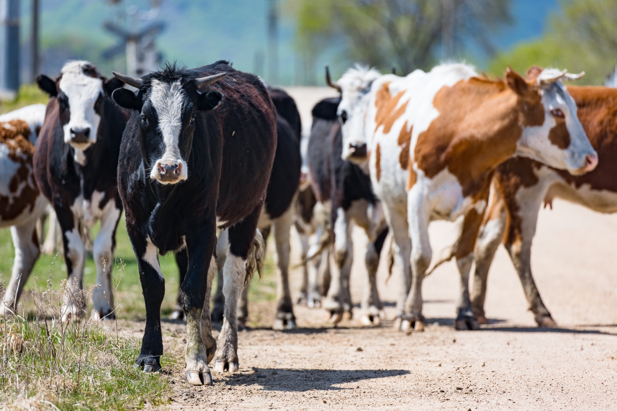 Тематическое фото ИА PrimaMedia