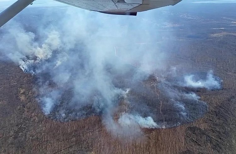 Лётчики-наблюдатели обнаружили пожары в 10 районах Приморья за сутки КГБУ &quotПриморская авиабаза&quot