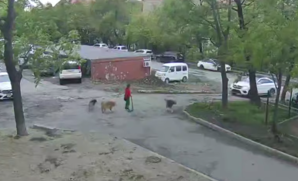Скриншот видео Пресс-служба МВД Владивостока
