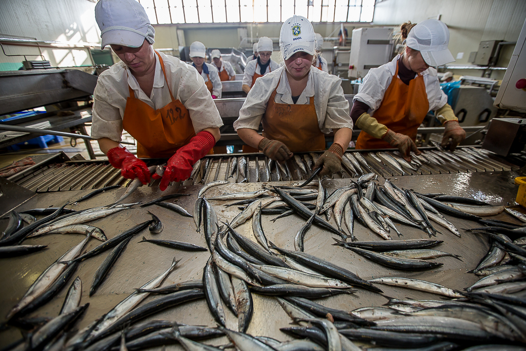 Сортировка, Фото с места события собственное