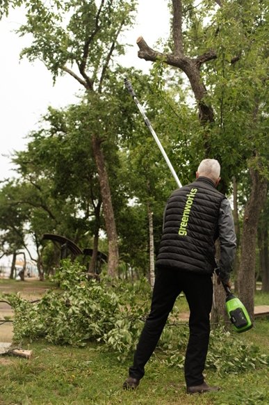 предоставлено компанией Greenworks
