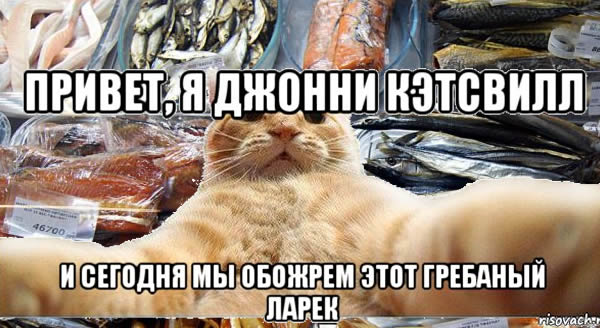 Кот-ворюга, Фото с места события из других источников