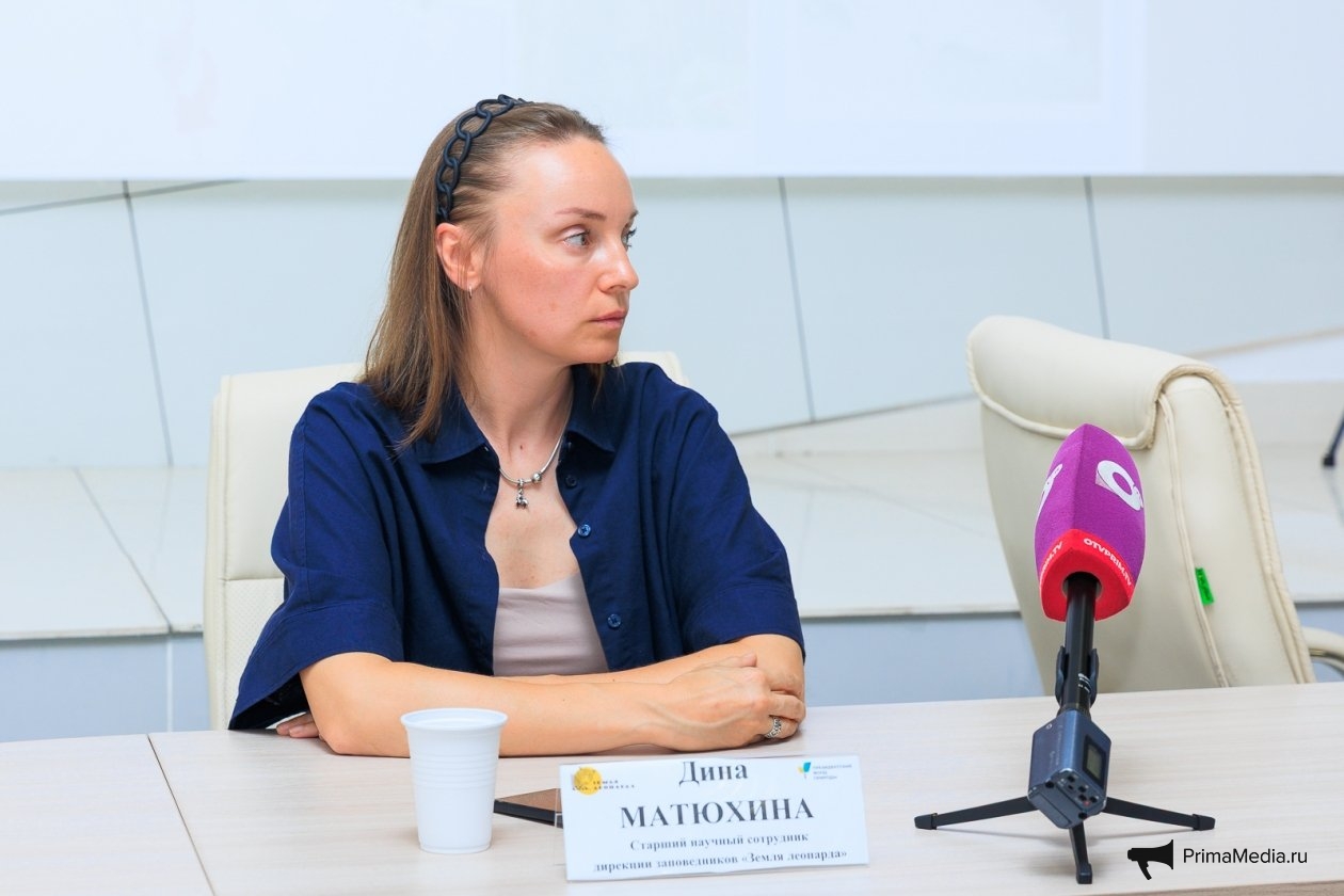 Яна Гайдук, ИА PrimaMedia