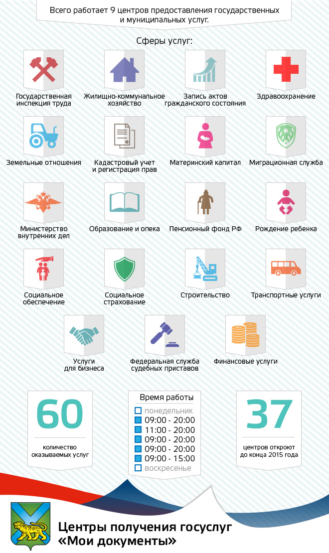 МФЦ "Мои документы", Инфографика