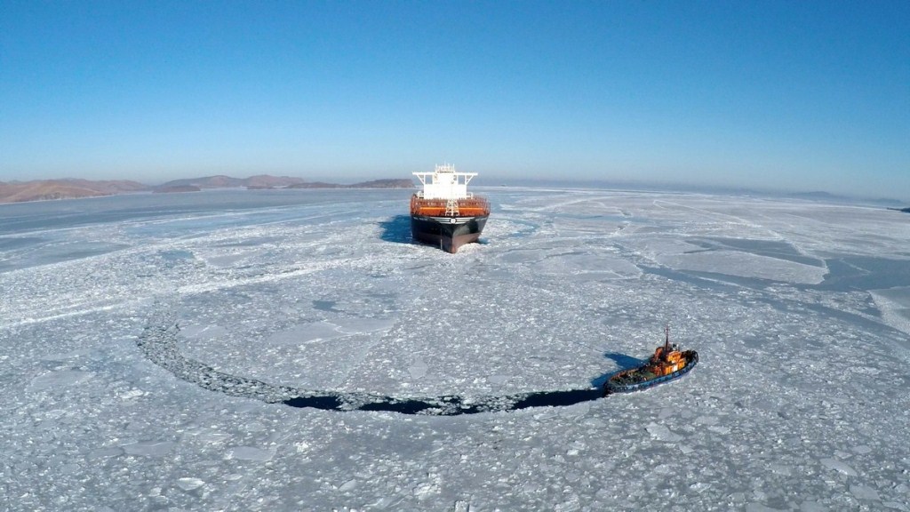 Контейнеровоз MSC Oscar в бухте Славянка, Фото с места события из других источников