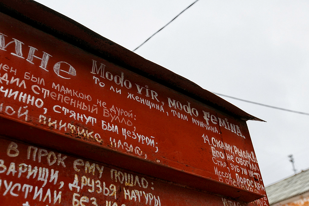 Творчество Пушкина на гараже, Фото с места события собственное