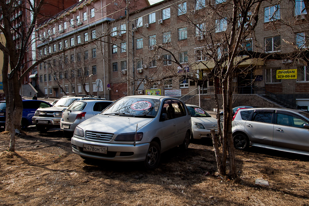Нарушители на газоне, Фото с места события собственное