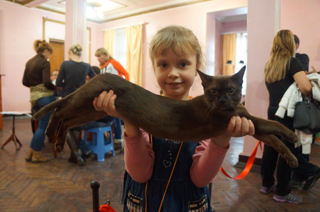 Настя и редкий котенок по кличке Шанель, Фото с места события собственное