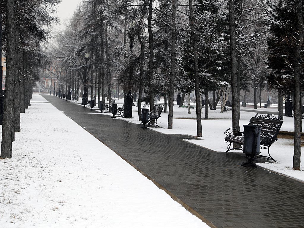 Иркутск сегодня фото со снегом