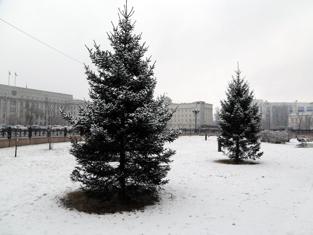 Снег сегодня в иркутске фото