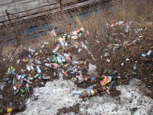 В дополнение к морскому пейзажу жители и гости Владивостока получают вид на миниатюрную по