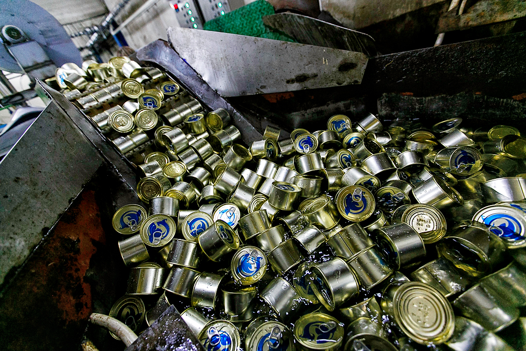 Сайра