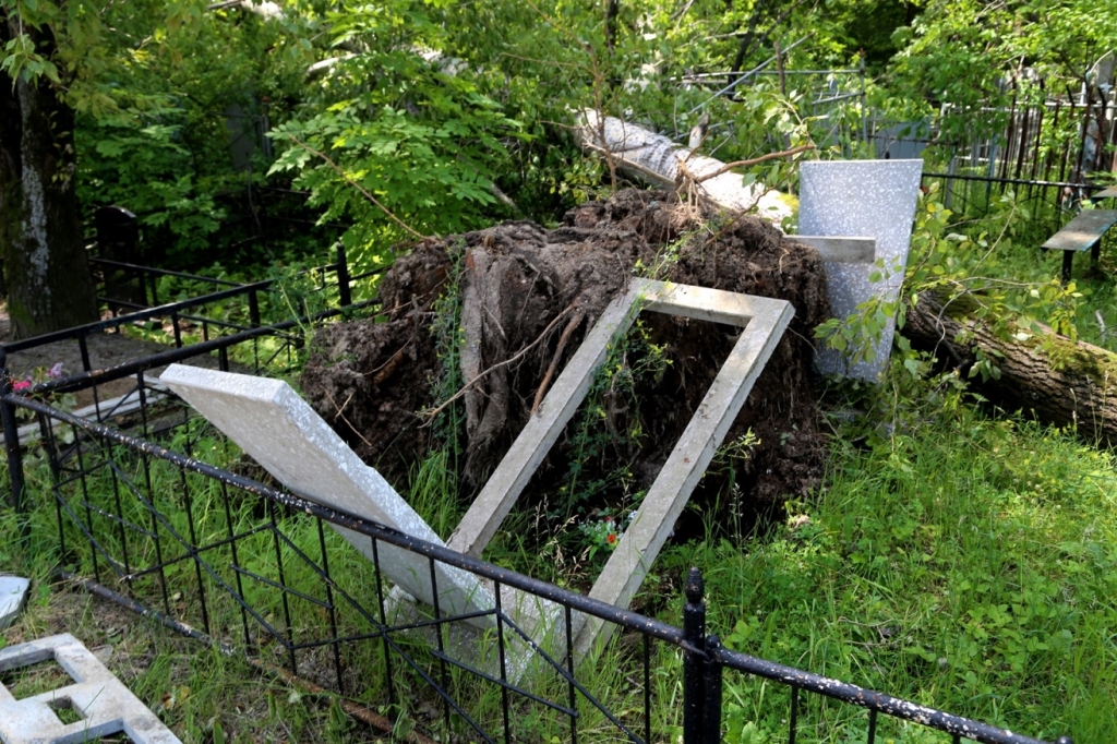 План кладбища хабаровска центрального