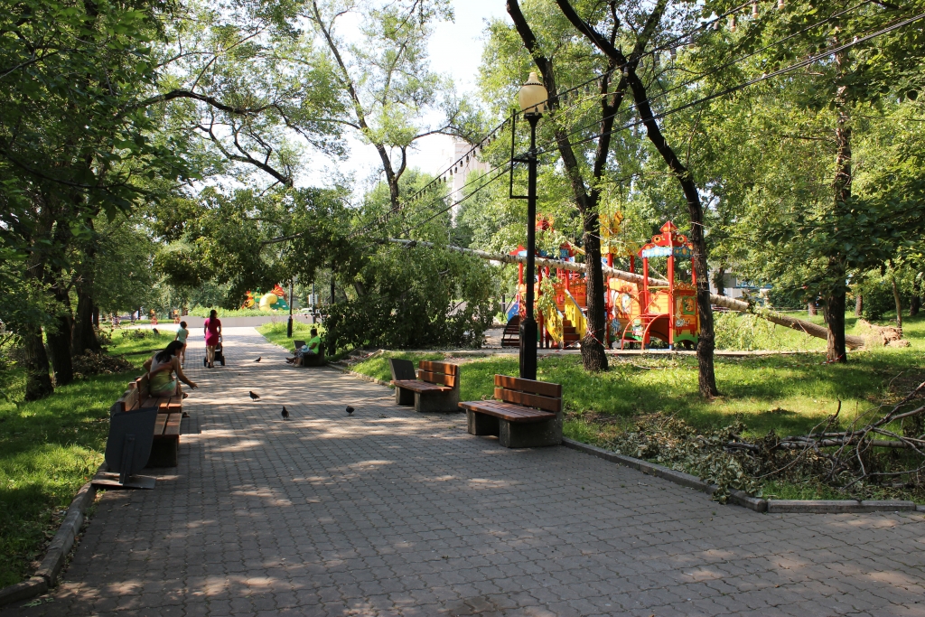 Хабаровск парк динамо фото