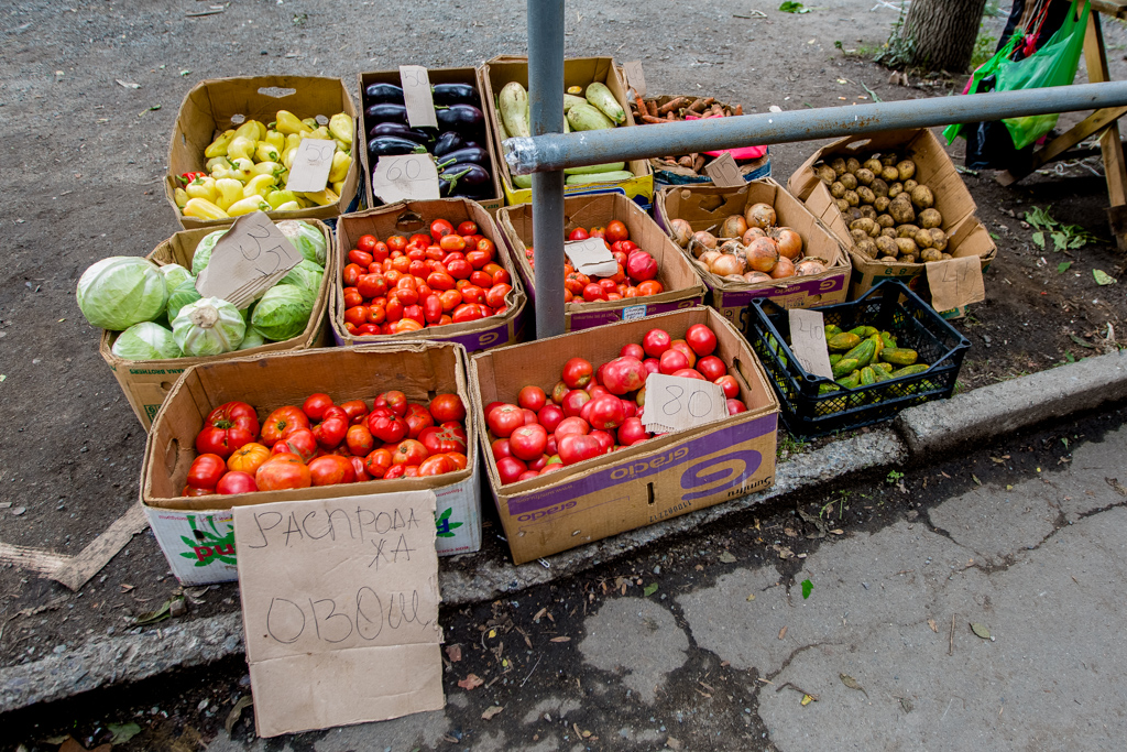 Овощная продукция реализуется прямо с земли