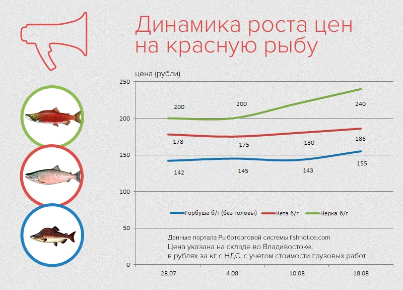 Инфографика