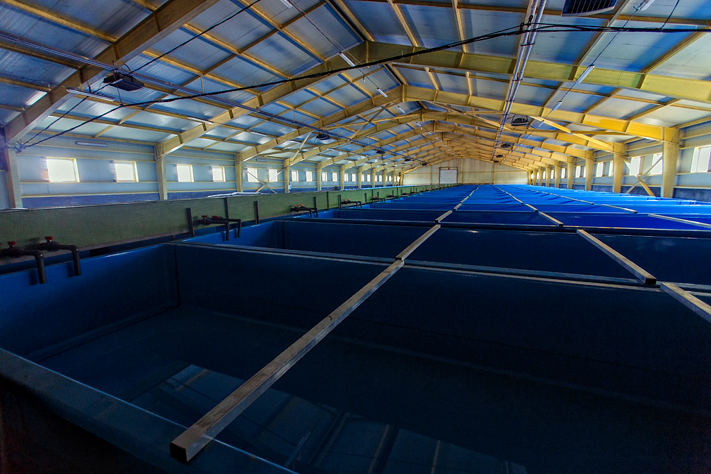 Емкости для содержания малька