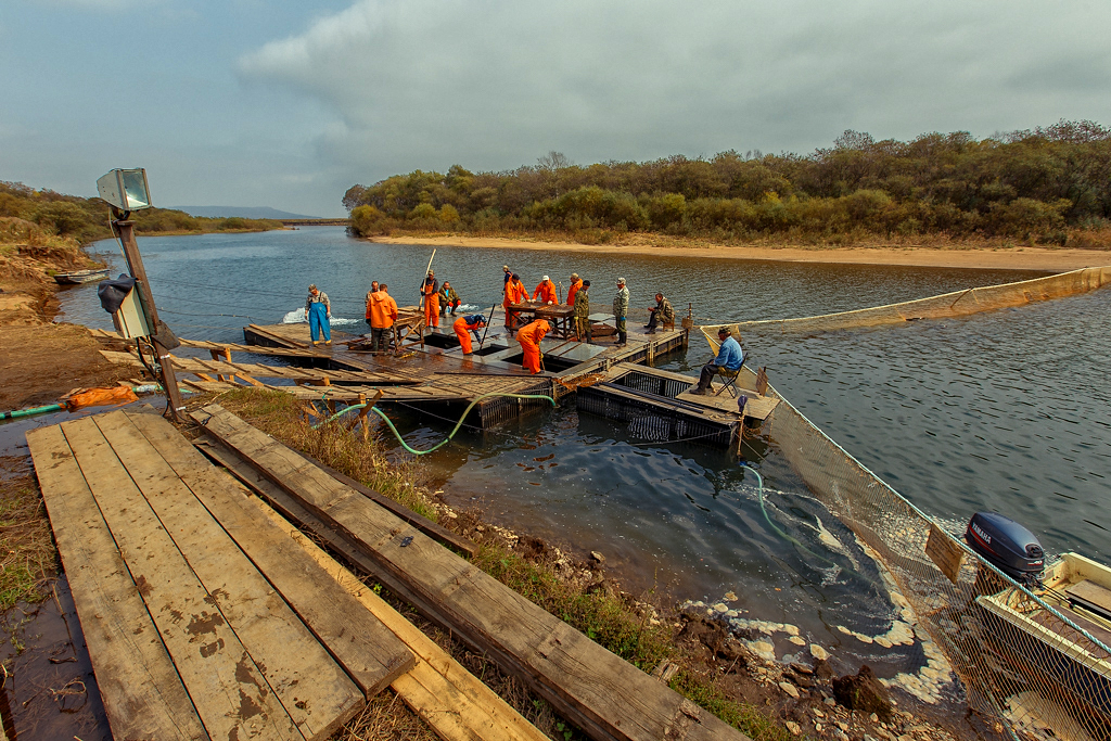 Надводная платформа на берегу реки Барабашевка
